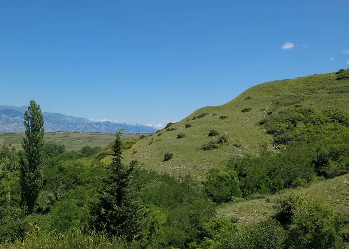 Tri Mora *