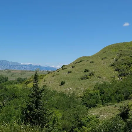 Tri Mora *