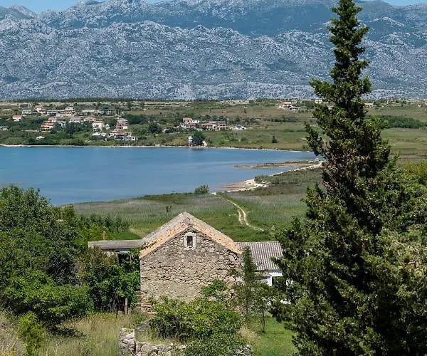 Tri Mora