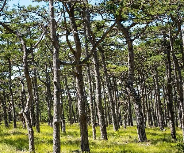 Διαμέρισμα Tri Mora